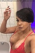 Osnabrck Trans Anny Brasil  004915171043164 foto selfie 3