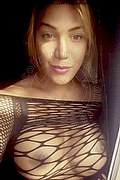 Zwolle Trans Mariel  0031618246320 foto selfie 5